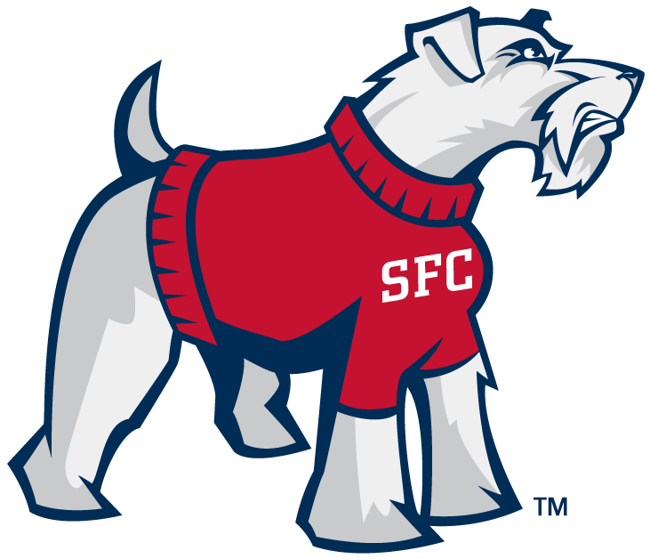 St. Francis Terriers 2001-2013 Alternate Logo v2 iron on transfers for fabric